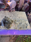 Chocolate Mica ~3-5 in Long