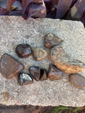 Bronzite ~30 grams