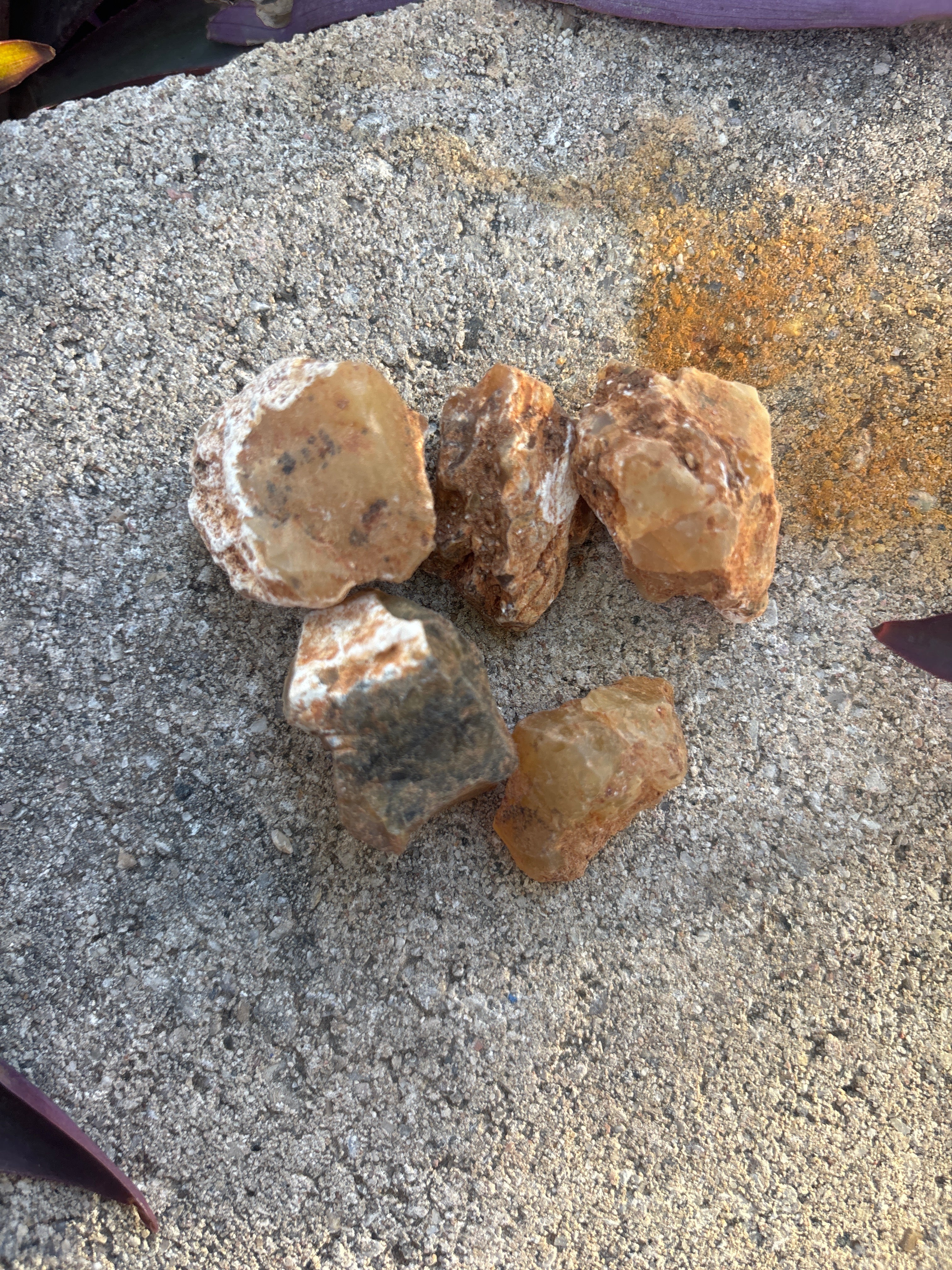 Yellow Opal