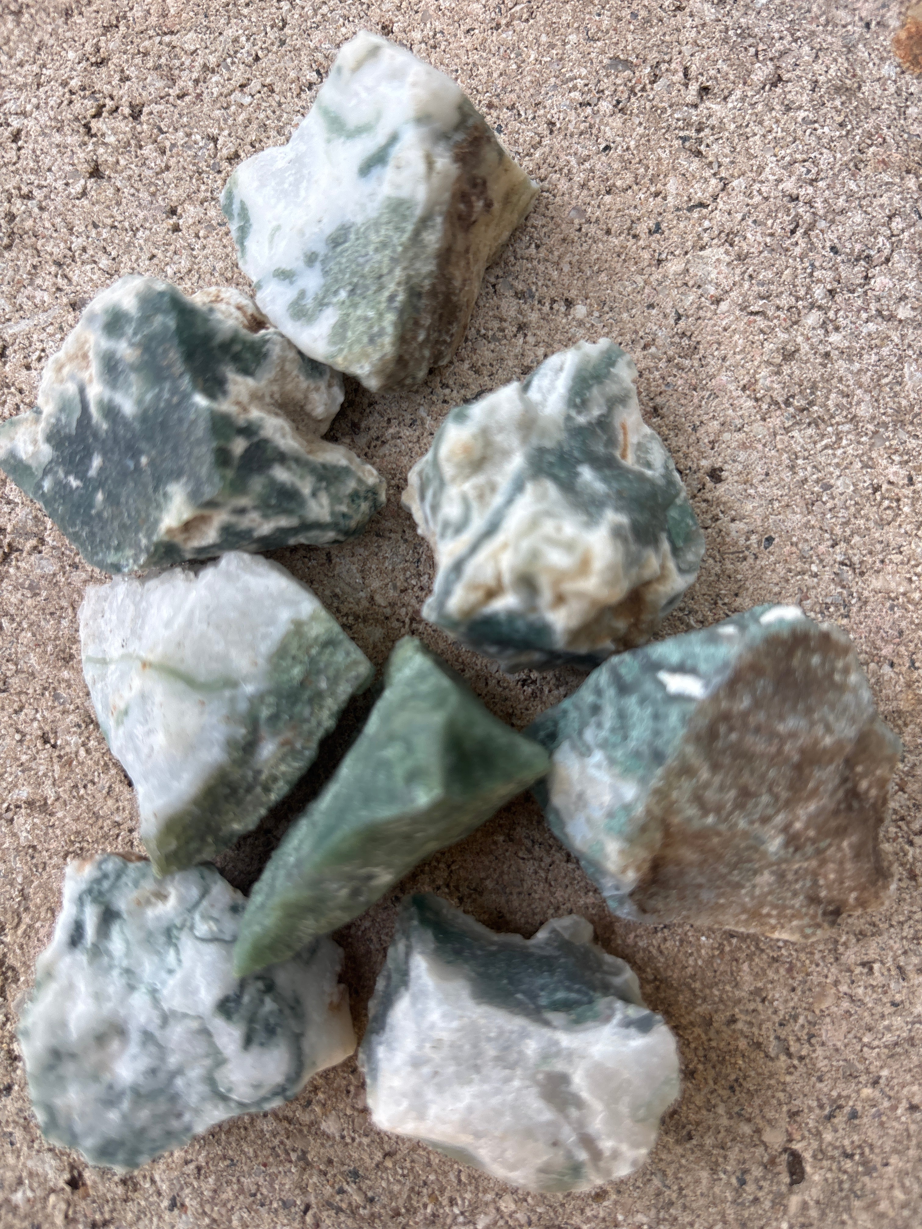 Tree Agate ~30-35 grams