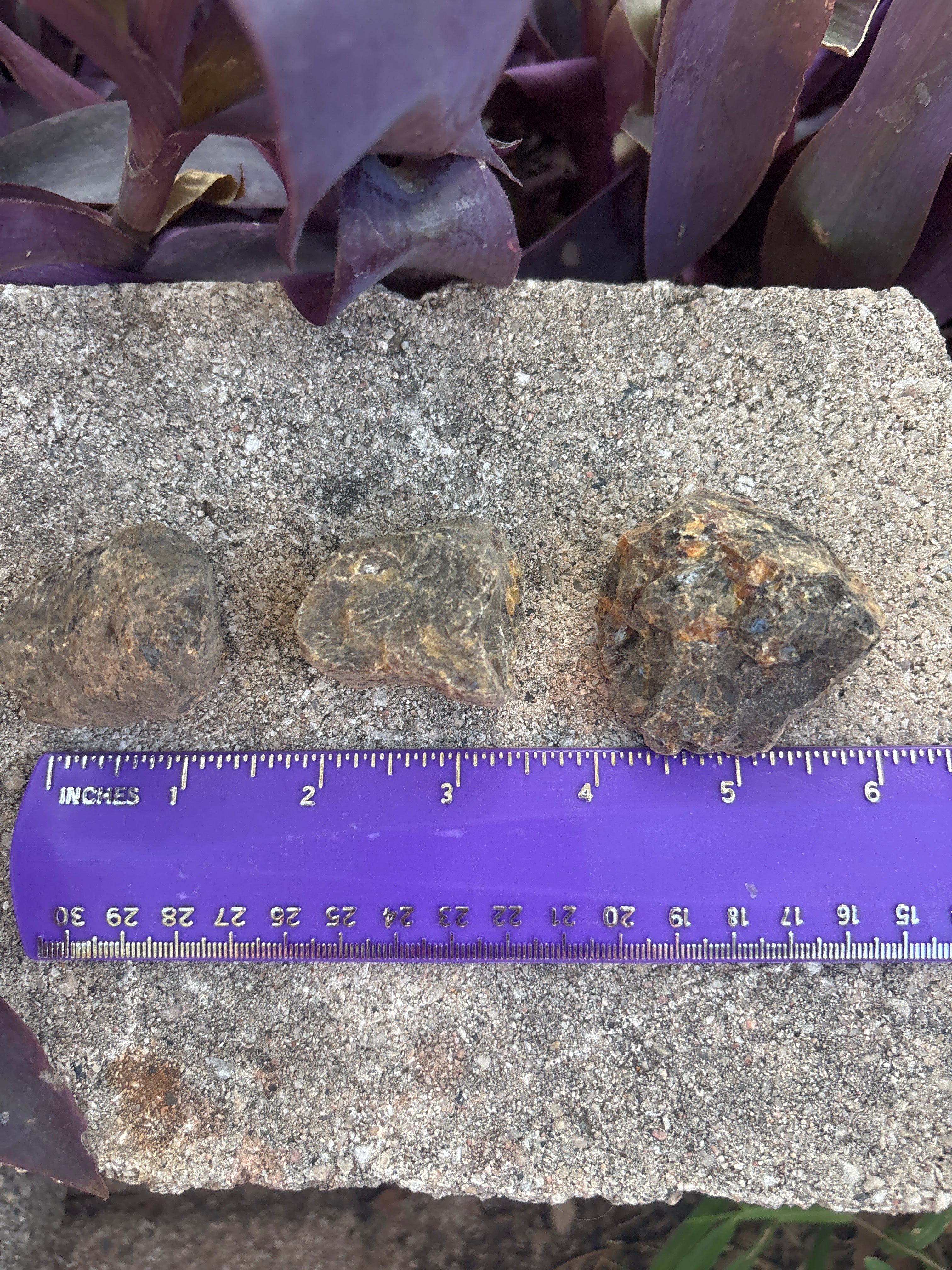 Small Amber ~1-3 in long