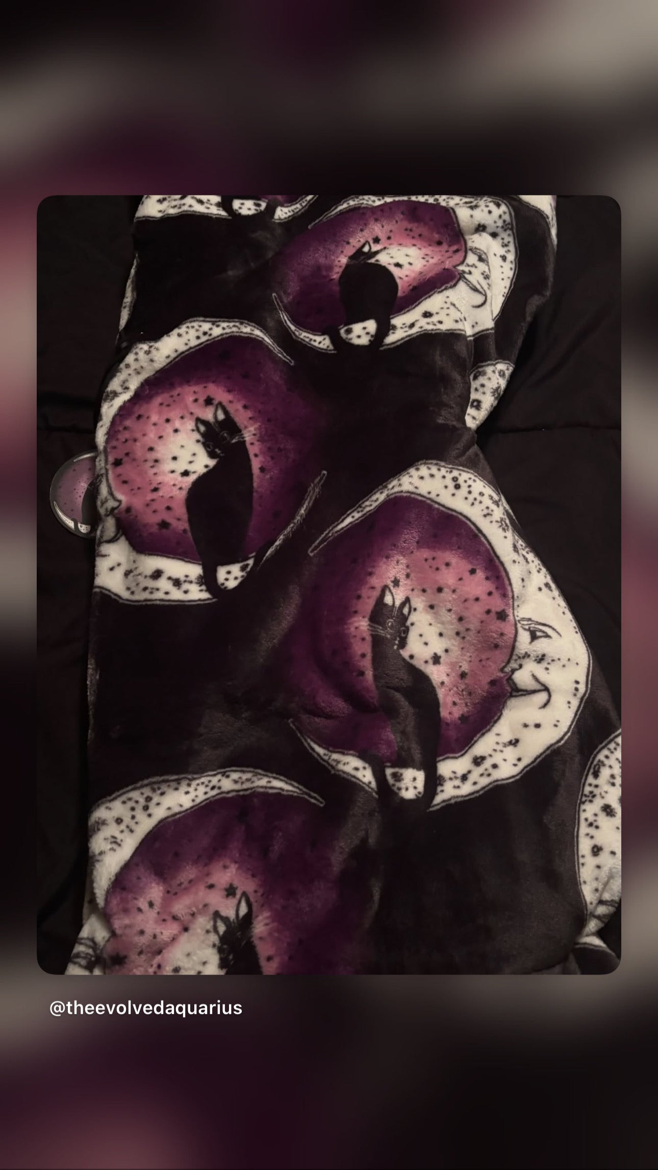 Black Cat Throw Blanket